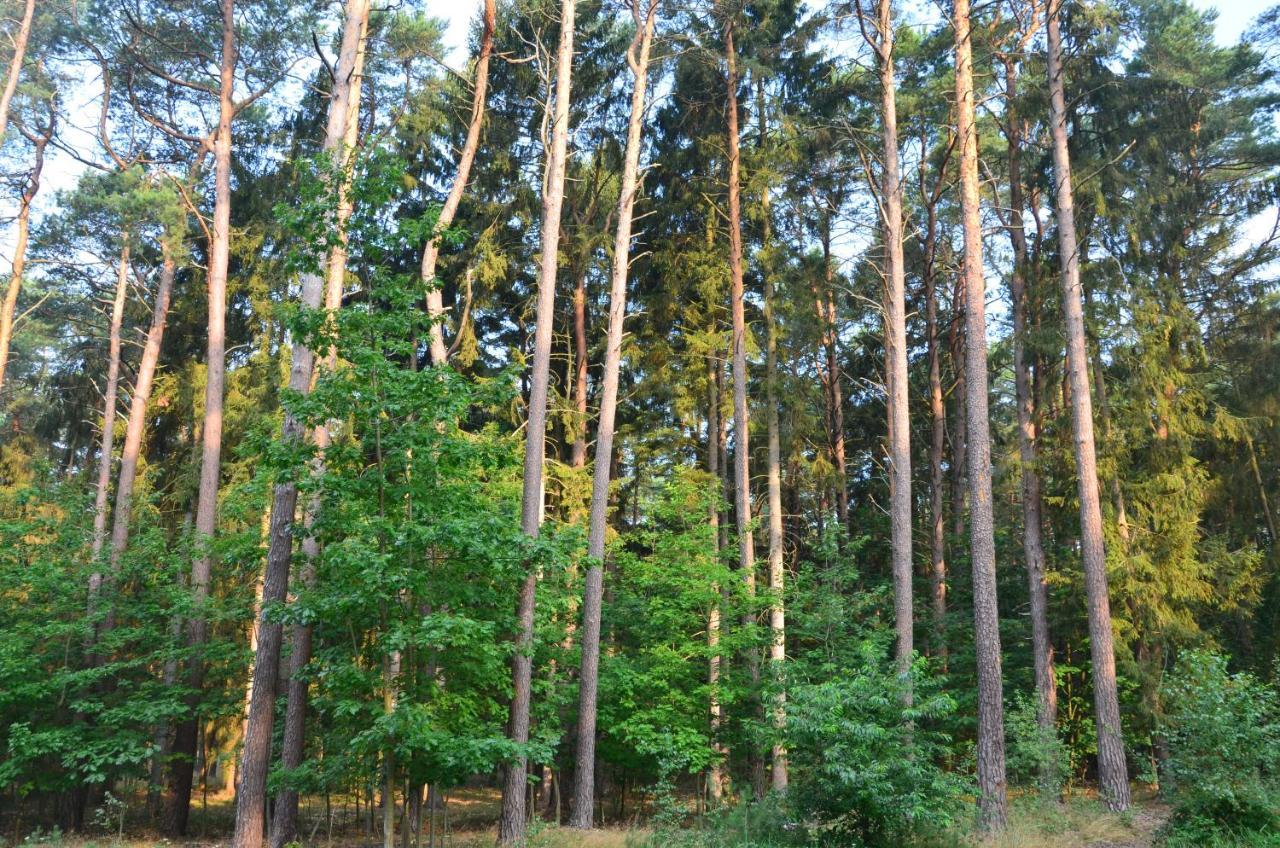 Apartament Blue Mare Pod Wiewiórką Lukecin Exterior foto